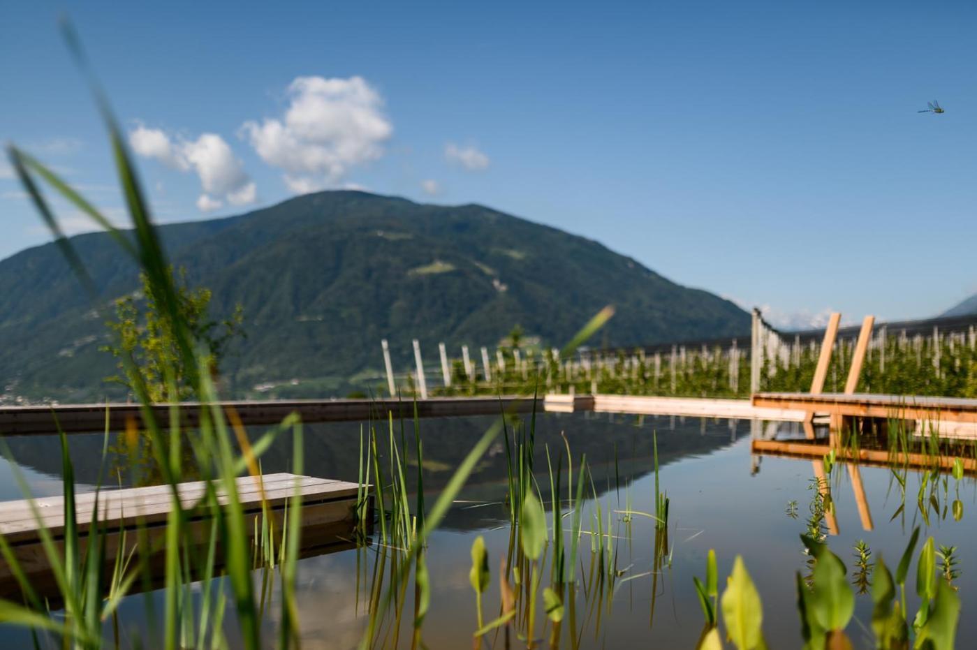 Pataunerhof Tirol Exterior photo